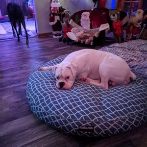 Meet your Posher, Doreen